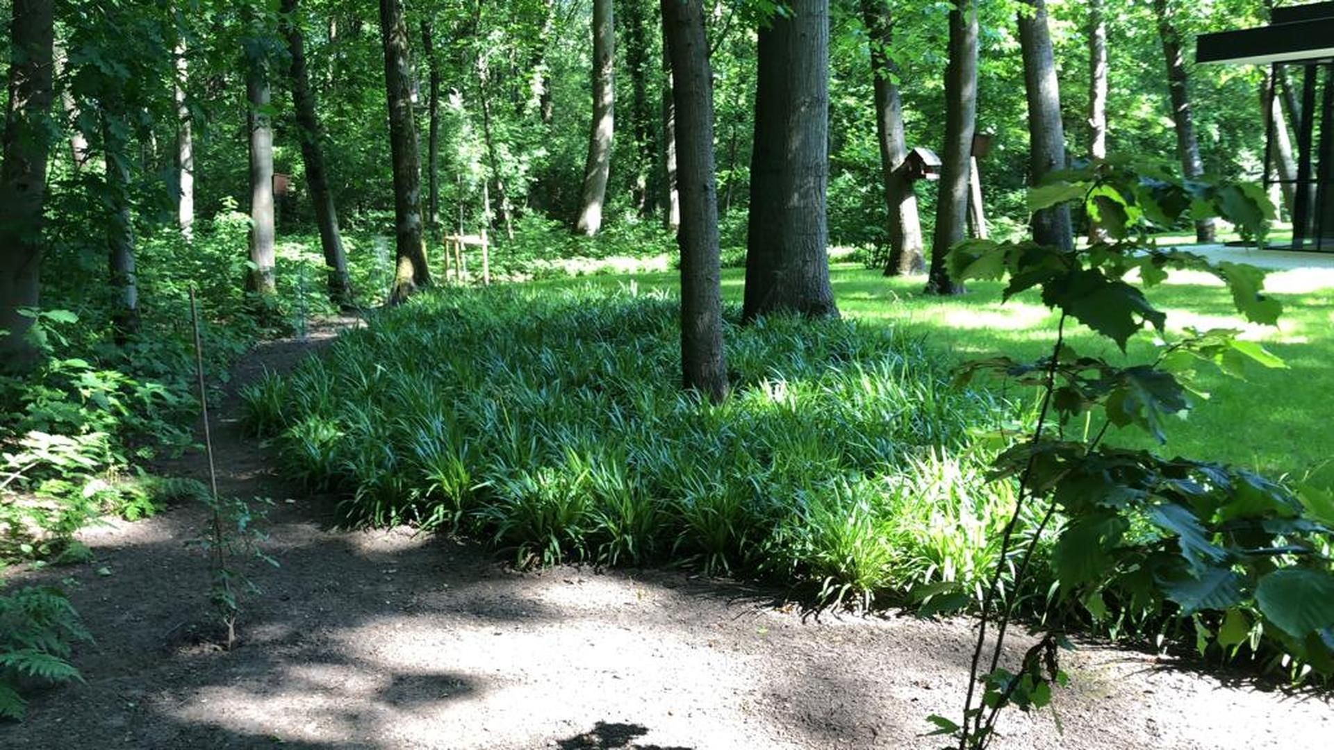 Unieke Tuinaccenten Artune