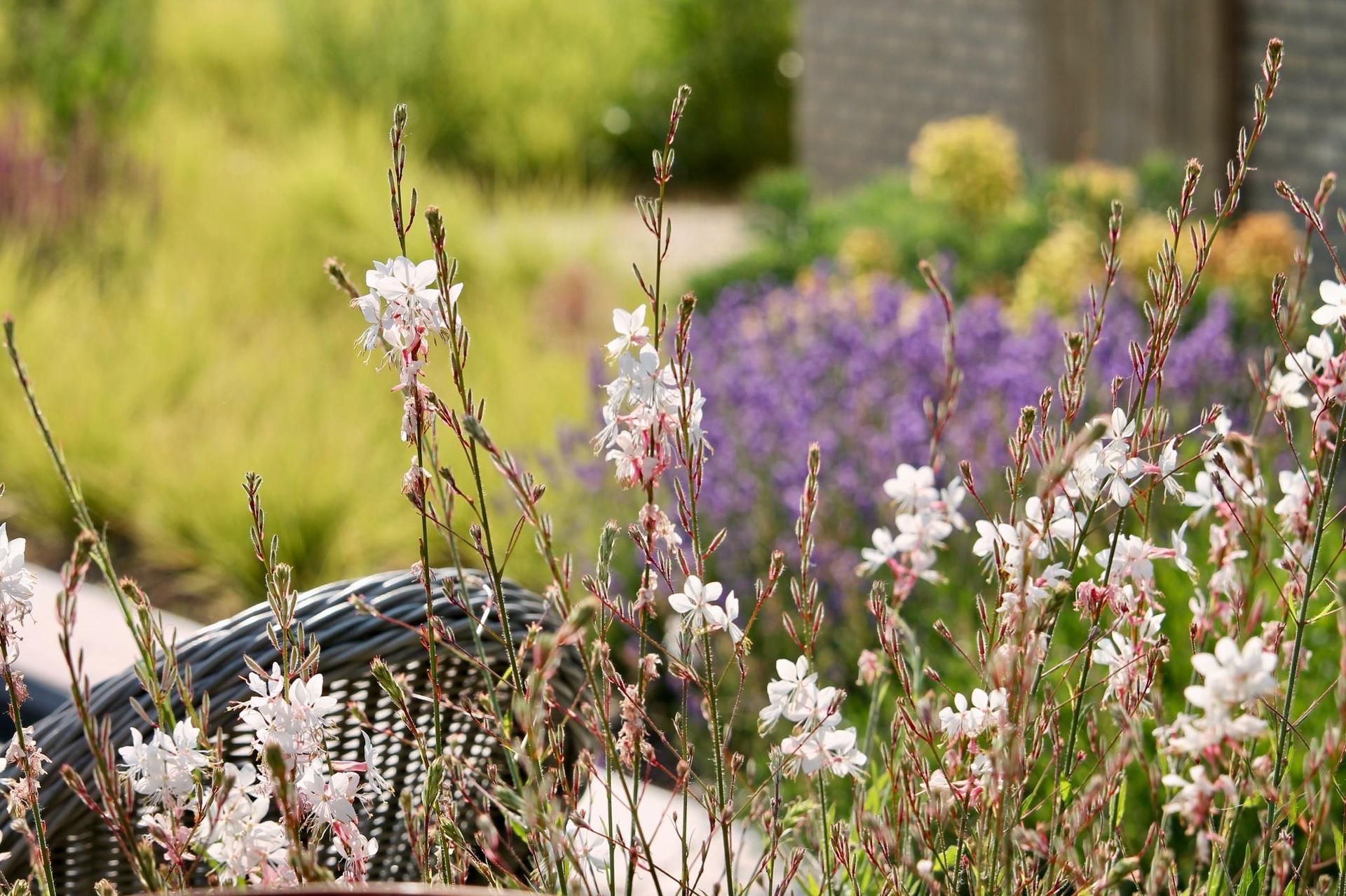 Harmonieuze Tuininrichting Artune