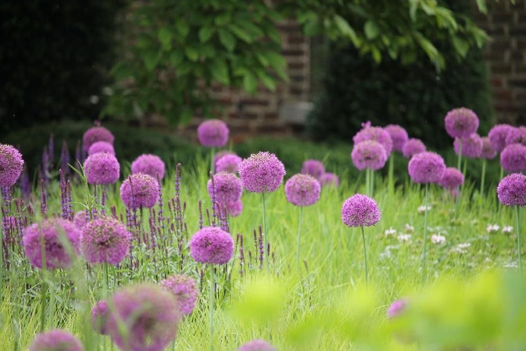 Laat Je Tuin Ontwerpen Door Artune