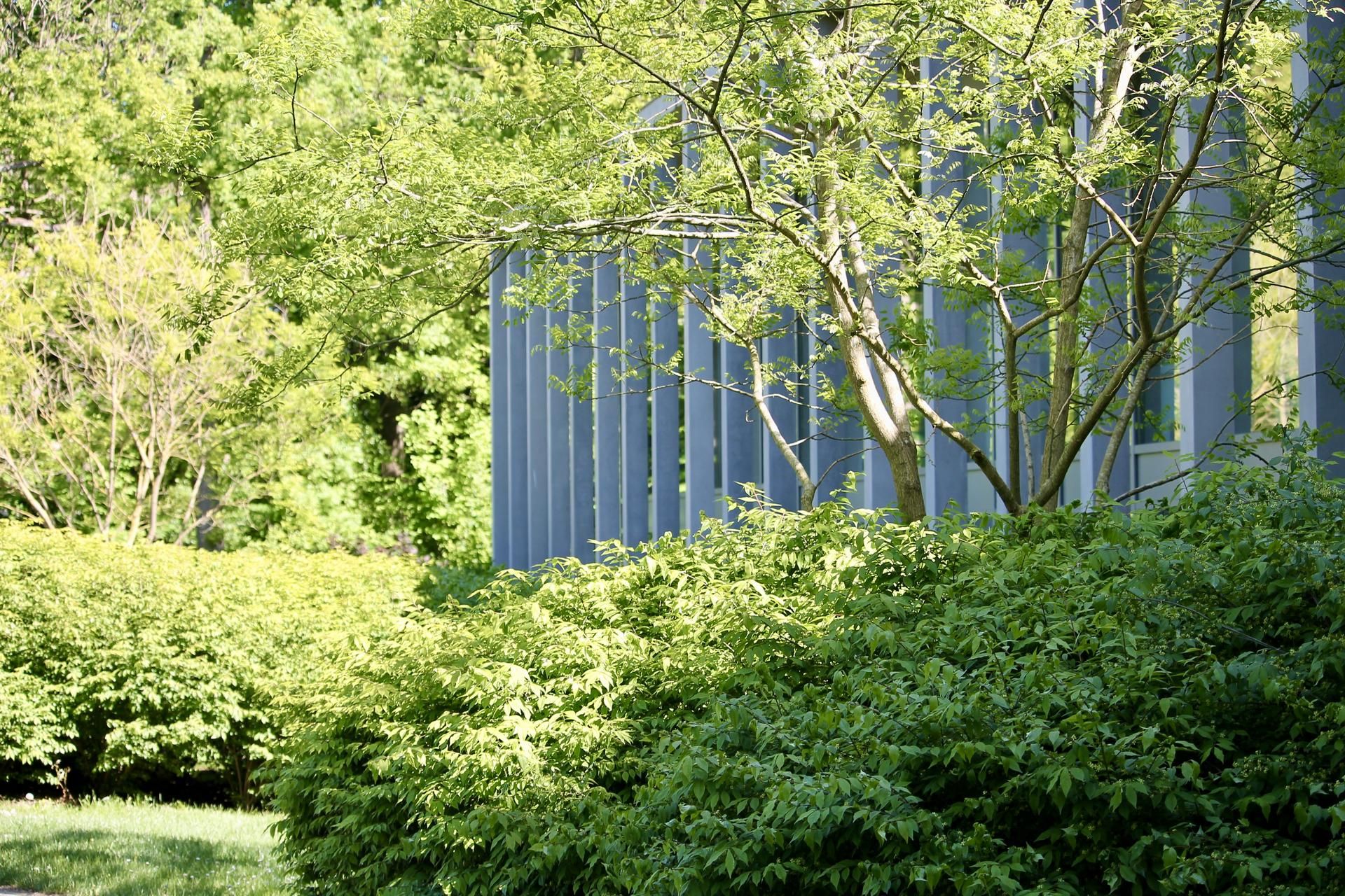 Tijdloze Groenoplossing Artune