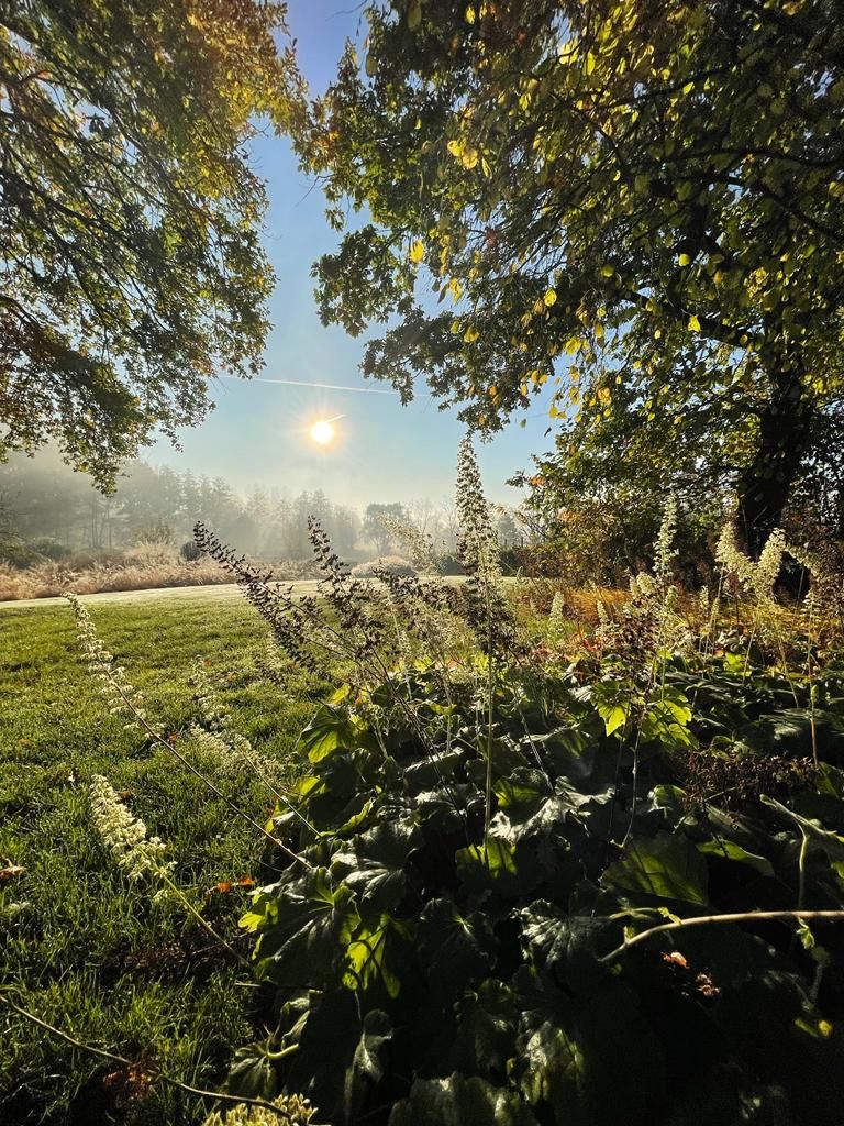 Tuinlandschap