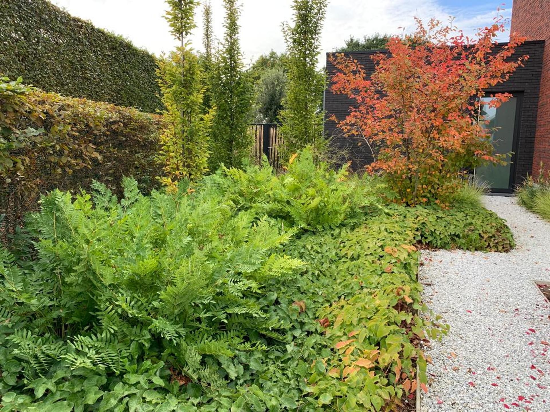 Frisse Upgrade Tuinrenovaties Artune