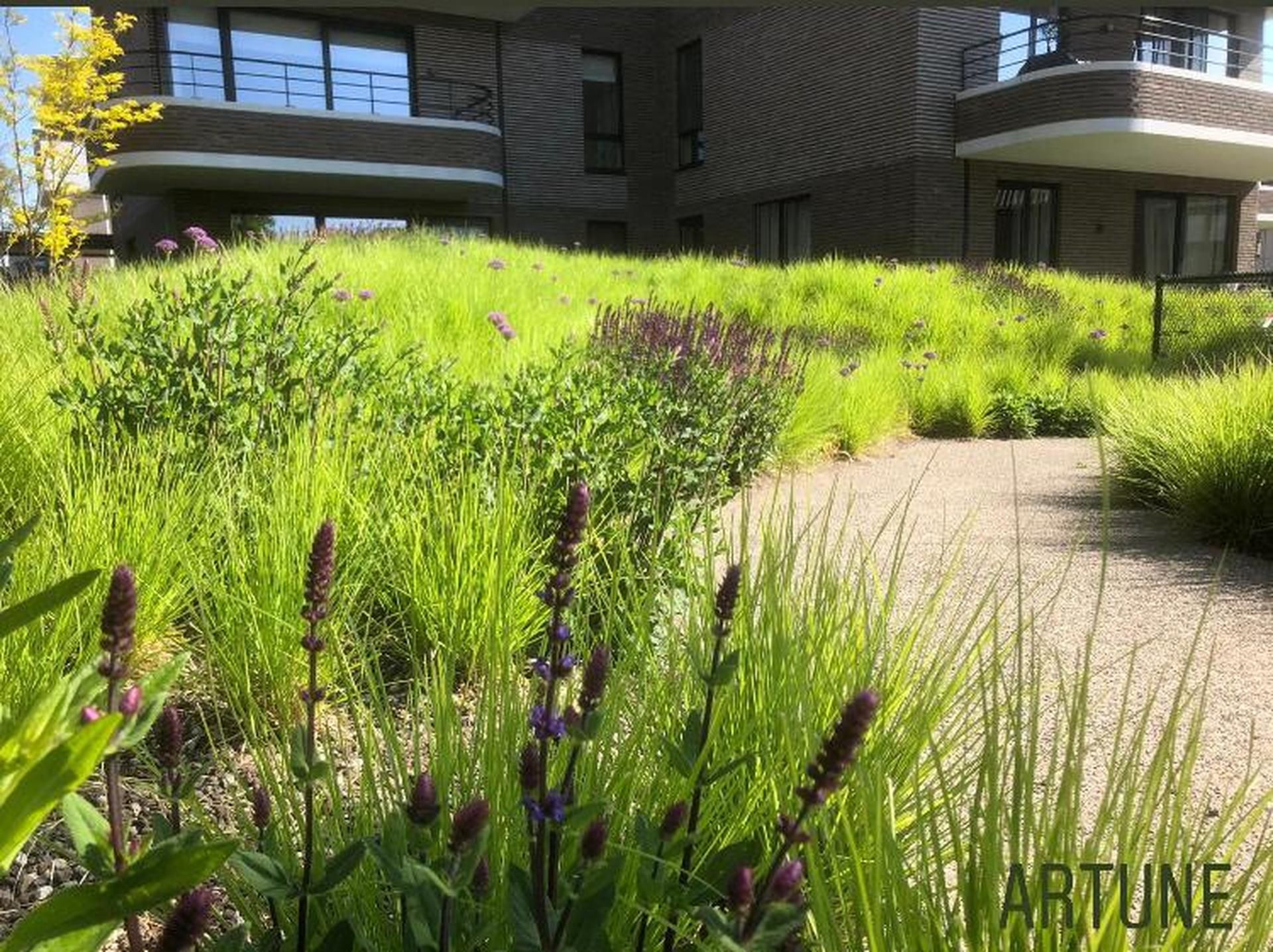 Zorgvuldige Tuinzorg Artune