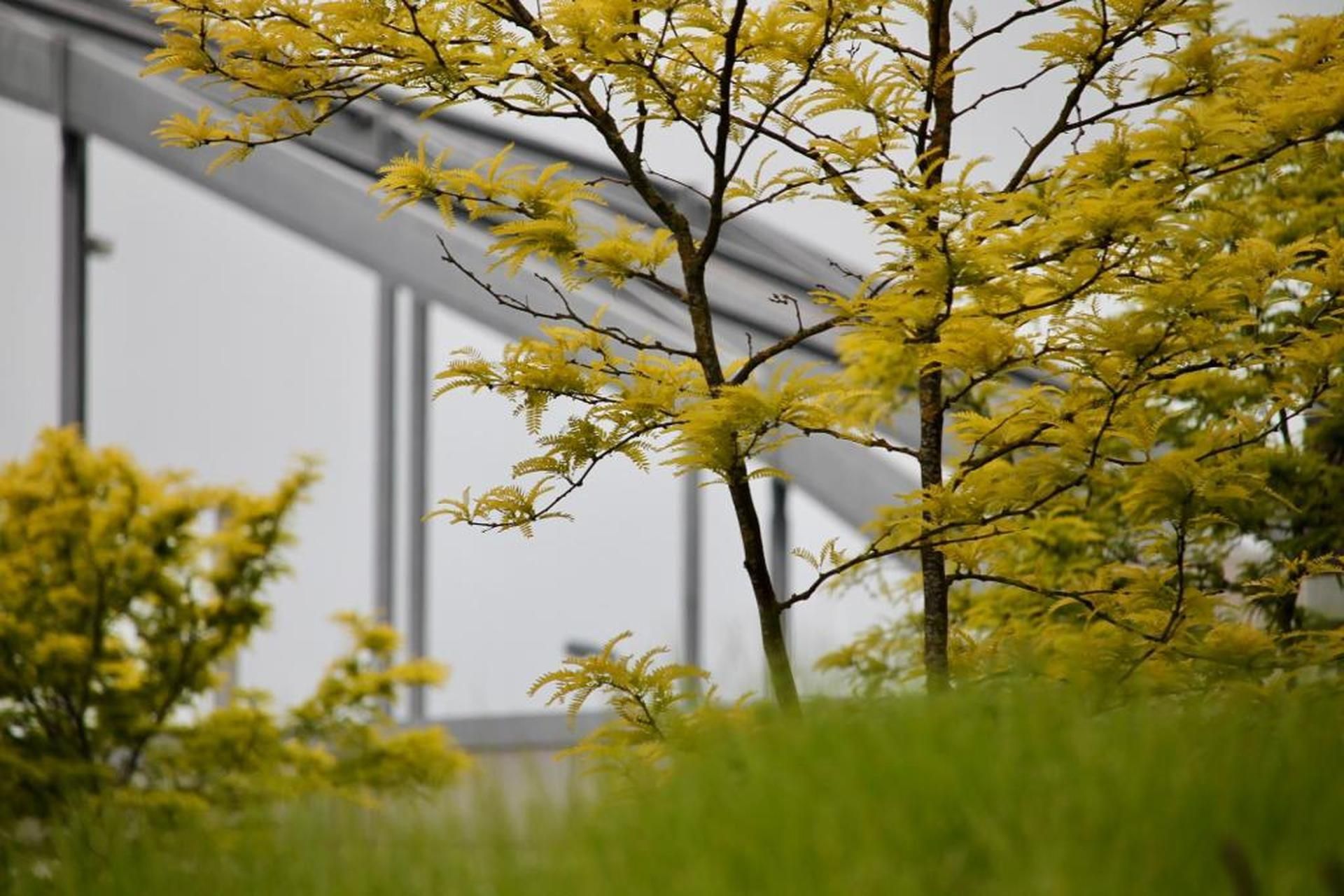 Tuinproject Zorg Artune