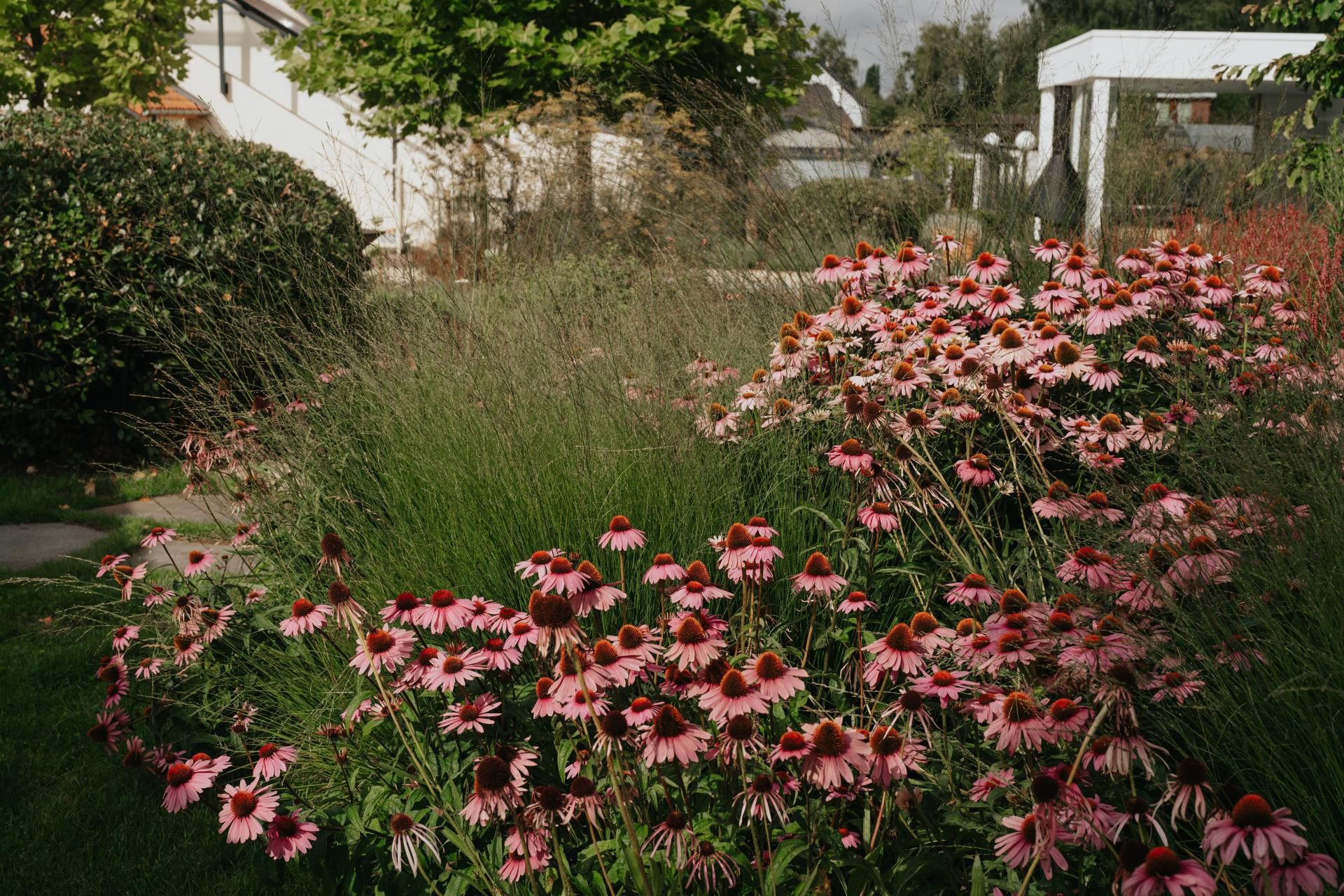 DSC00564