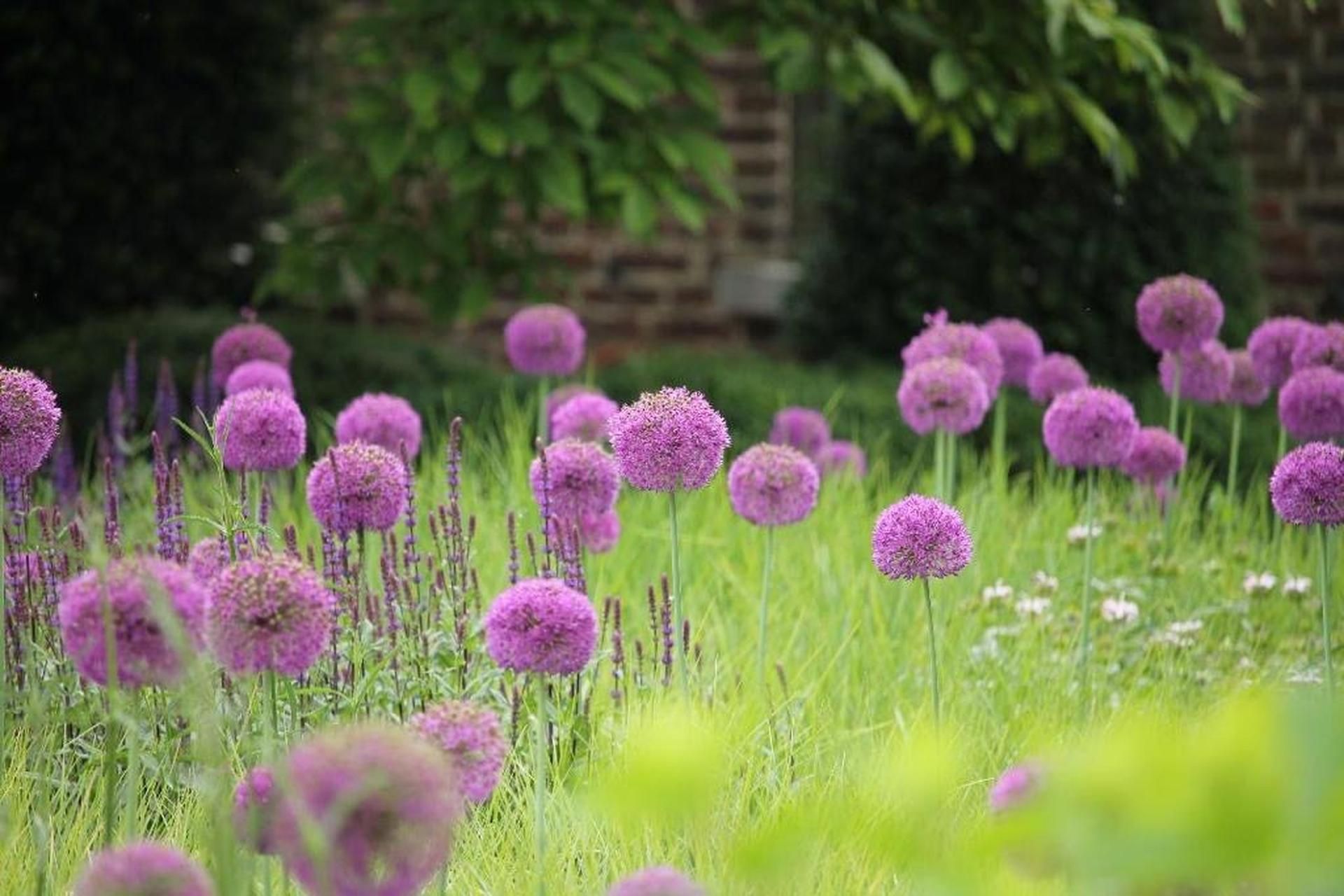 Verschillende Tuinstijlen Artune